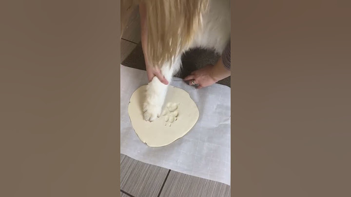 #art #short DIY framed dog paw prints 🐾 could make a great holiday gift! #artcl