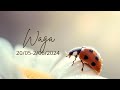 Waga ♎ 20/05-2/06/24 🐞 Miłość, miłość i jeszcze raz miłość ❤️