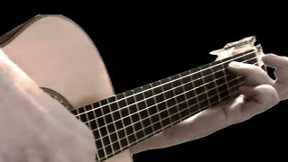 Packingtons Poundanonymous Fingerstyle Cover
