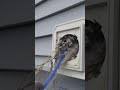 Dryer Vent Cleaning