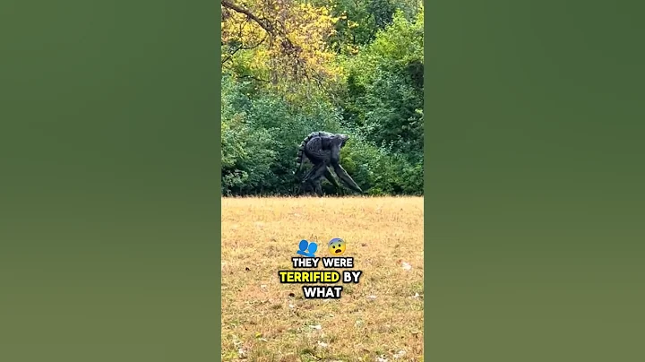 This Creature Was Spotted By A Team Of Researchers In A Forest In The United States thumbnail
