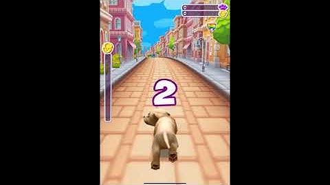 Pet Run - Puppy Dog – Gameplay (Android & IOS)