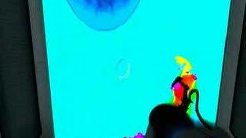 Portal First Slice level 13 problem