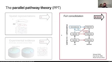 Talk: Hebbian plasticity in parallel synaptic pathways: A circuit mechanism for systems memory cons…