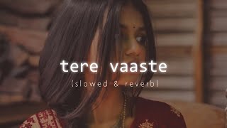 Tere Vaaste (Slowed × Reverb) Zara Hatke Zara Bachke | Fire Nation Music