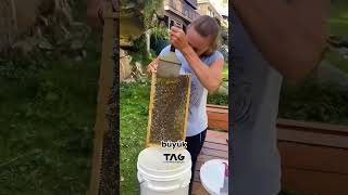 Balın Üzerindeki Balmumu Neden Çıkarılır?