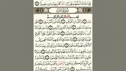 ماهر المعيقلي سورة يس مكتوبة صفحة 440 ثلثيها و صفحة 441 مصحف المدينة المنورة جودة عالية