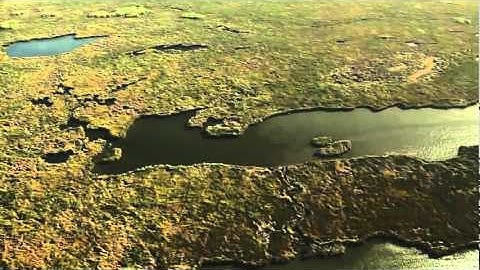 Las Cienegas Habitat Monitoring Project