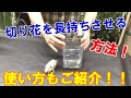 【切り花を長持ちさせる方法】栄養剤・活力剤の効果はあるのか！？使い方もご紹介！！