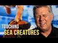Tommy Touches SEA CREATURES For The First Time