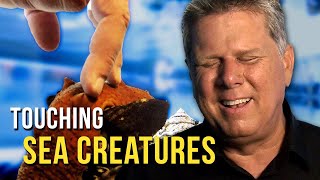 Tommy Touches SEA CREATURES For The First Time