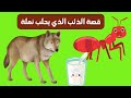 قصة الذئب الذي يحلب نملة 