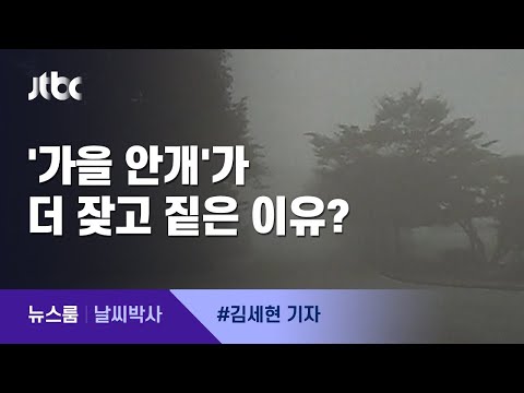 [Weather Expert] Dense 'Fog' Encountered at Dawn… Why Is It Frequent in Autumn? / JTBC Newsroom