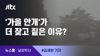 [날씨박사] 새벽에 마주한 짙은 '안개'…가을에 잦은 이유는? / JTBC 뉴스룸