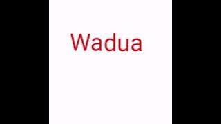 Xaquito