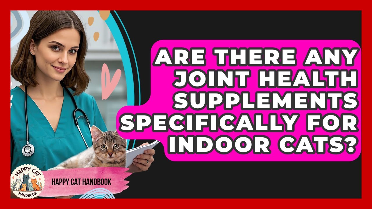 Are There Any Joint Health Supplements Specifically for Indoor Cats? | Happy Cat Handbook