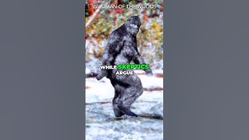 The Patterson Gimlin Film: Bigfoot History #bigfoot #sasquatch