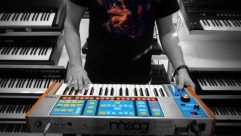 MOOG SOURCE Analog Synthesizer (1981) "Miscreant"