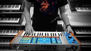 Moog Source Analog Synthesizer 1981 Miscreant