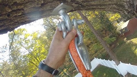 Tree Swing Installation by Piedmont Tree Climbing
