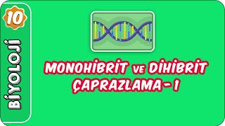 Monohibrit ve Dihibrit Çaprazlama-1  | 10. Sınıf Biyoloji