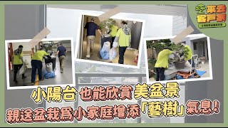 小陽台也能欣賞美盆景，親送盆栽為小家庭增添「藝樹」氣息 ... 