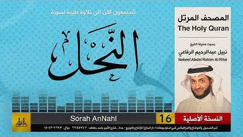 16 | سورة النحل| المصحف الكامل | نبيل الرفاعي | Nabil Al-Rifai