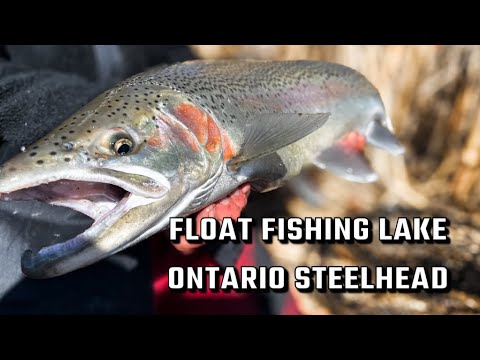 FLOAT FISHING LAKE ONTARIO STEELHEAD (FEB 2024) 