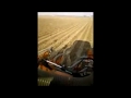 strip till a Verona