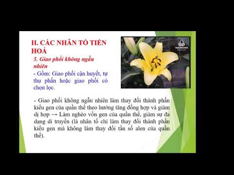 Video: Giao phối không ngẫu nhiên trong quá trình tiến hóa là gì?