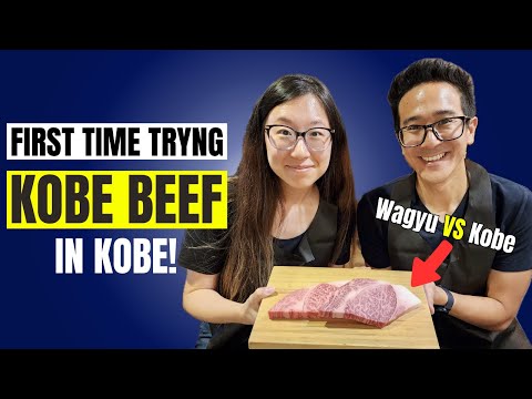 Is It Worth Going to Kobe to Try Kobe Beef? | Japan Vlog- Hello Kitty Shinkansen, Dotonburi