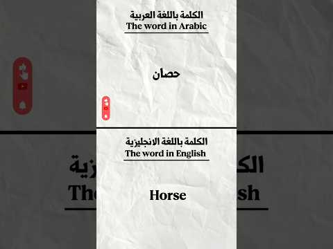 كلمات انجليزية مع الترجمة    