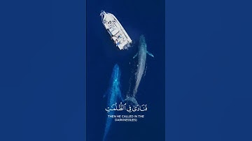 وَذَا النُّونِ إِذ ذَّهَبَ مُغَاضِبًا | قرآن سورة الأنبياء تلاوة خاشعة 🤍 #راحة_نفسية #اكسبلور #قرآن