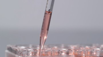 3D Cell Culturing: Taking advantage of recent advances