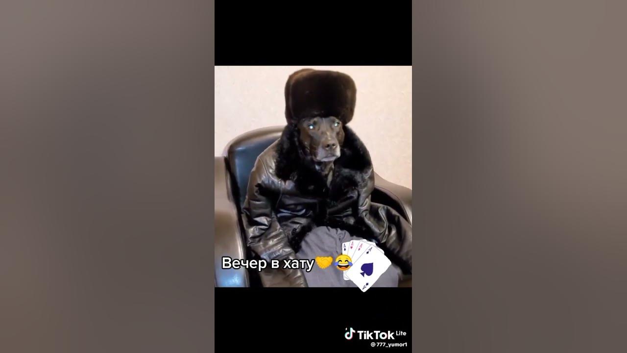 дядя вася - YouTube