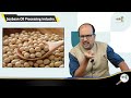 Soybean Oil Processing | Soybean Oil Mill Plant & Production Process