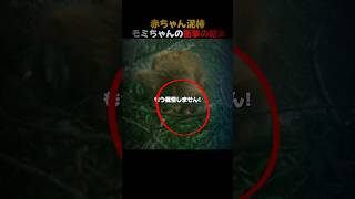 赤ちゃん泥棒モミちゃんの衝撃の結末 #がんばれパンチ