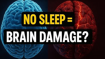 “What Happens to Your Brain When You Don’t Sleep?