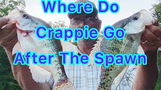 CRAPPIE FISHING (Where do crappie go after the spawn)