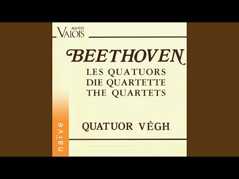 6 String Quartets in G Major, Op. 18, No. 2: III. Scherzo. Allegro