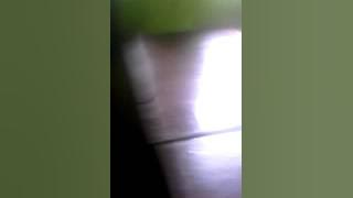 Cw smp 10 lesbian wwwkwwkwww