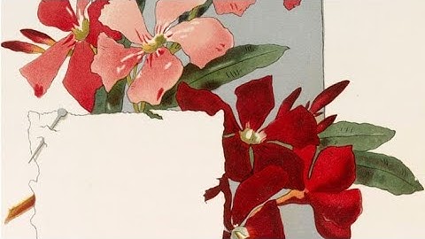 tổng hợp làm tranh cát chảy /douyin