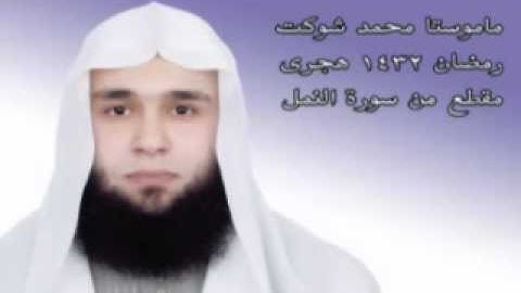 محمد شوكت مقطع من سورة النمل  muhamad shwkat