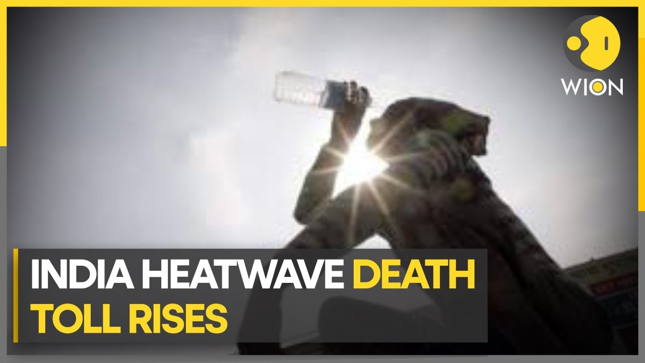 Deadly heatwave in  India, death toll rises | WION Climate Tracker