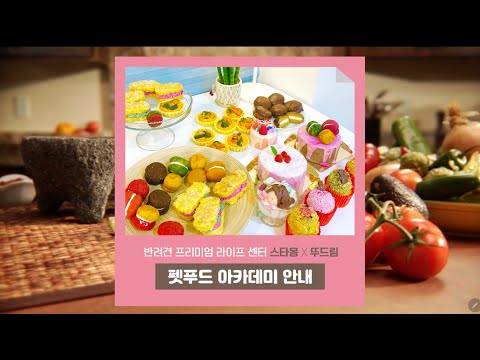요즘 핫한 펫푸드 창업, 자격증 총정리_스타몽 펫푸드 아카데미 소개 Pet-food academy