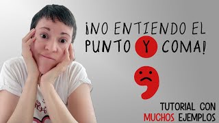 ¡No entiendo el punto y coma!