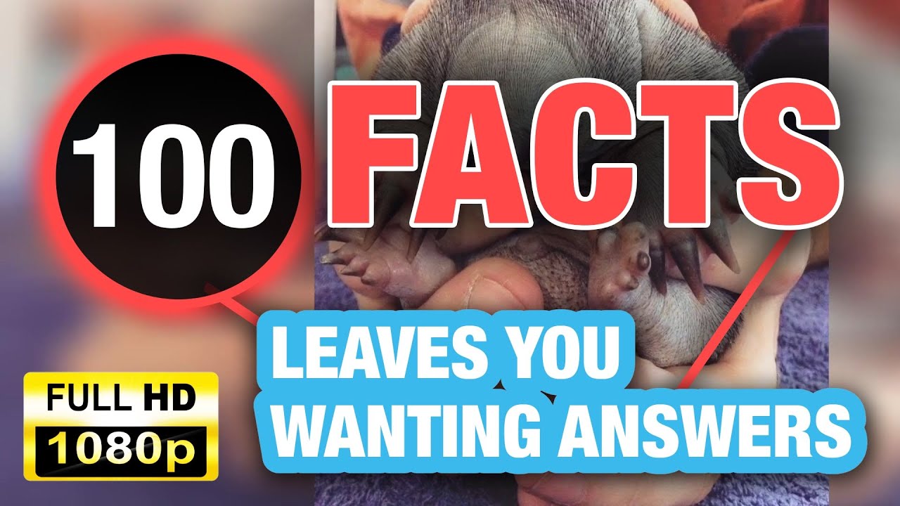 100 Interesting Random Facts That Will Blow Your Mind! - YouTube