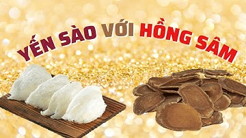 Yến sào chưng với Hồng Sâm Hàn Quốc có tác dụng gì? - Thi Đặng