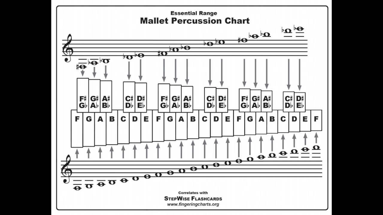 Сравнение нот 12 и нот 13. Ксилофон двухрядный схема. Расположение нот на ксилофоне. Расположение нот. Расположение нот на металлофоне.