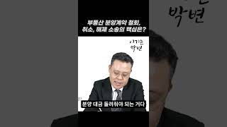 부동산 분양계약 철회소송, 취소소송, 해제소송의 핵심 #shorts
